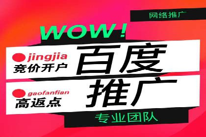 百度竞价包年推广策略深度解读与案例分析